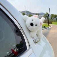 White Husky
